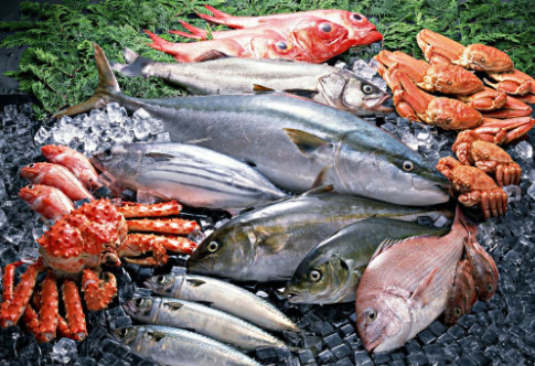 水產(chǎn)品質(zhì)量安全追溯平臺